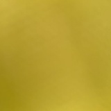 塑料猫