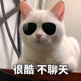 不能再拖延了！