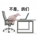残黛