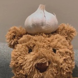 大蒜🧄