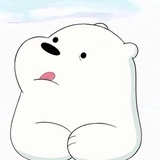 Tedd