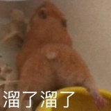 哈哈哈哈哈哈怪