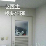 屋顶上的猫大人Y