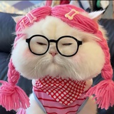 猪不行有了羊