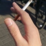 榆树林风