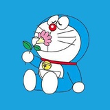 崭新