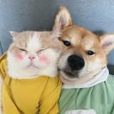 大太阳