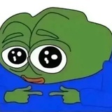 是鱼