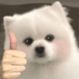 橙汁可乐