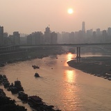 阿阿阿绿绿