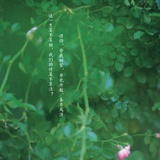 烟雾