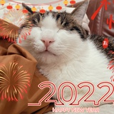 222222222