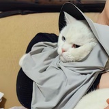 momo（冲浪版）
