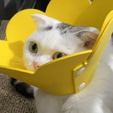 包包包