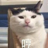 哼！