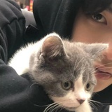 紫陌