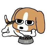 一级双标