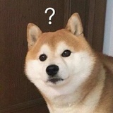 已煮消