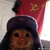 啊美滋滋