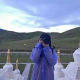 懒菜想自律