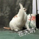 Jiem
