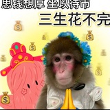 维他柠檬精