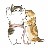 我是一只胖猫咪