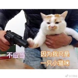 达拉崩吧