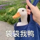 云养桃