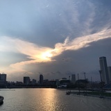 木雨