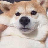 到故事结尾