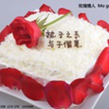 众佳利