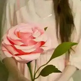 会飞的鱼