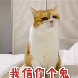 章伯丘