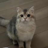 DDgugu💙