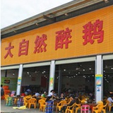 大自然醉鹅