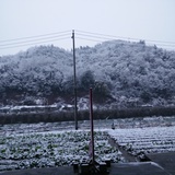 入阵