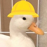 lcm
