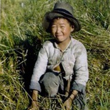小龙