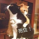 草莓兔兔