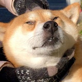 朱朱侠