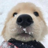 忘郁