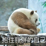 萝卜的小白菜