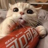 之云