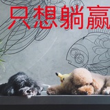 跑不动啊
