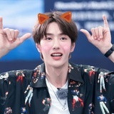 淘子推书