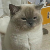 要佛系