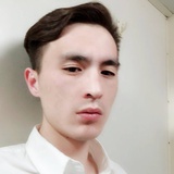 一袭青衫木牛马