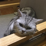 牛牛远离负能量