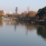 小骁德玛